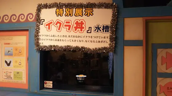 イクラ丼