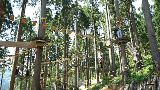 樹上のアスレチック「アドベンチャーパーク」が楽しい