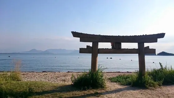 朝日を浴びる海辺