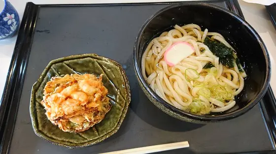 甘エビのかき揚げうどんをチョイス
