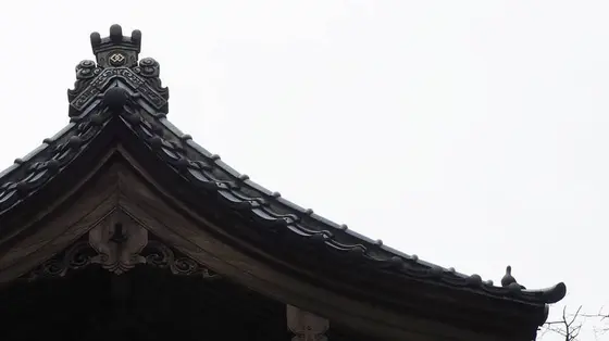 鐘つき堂にハト
