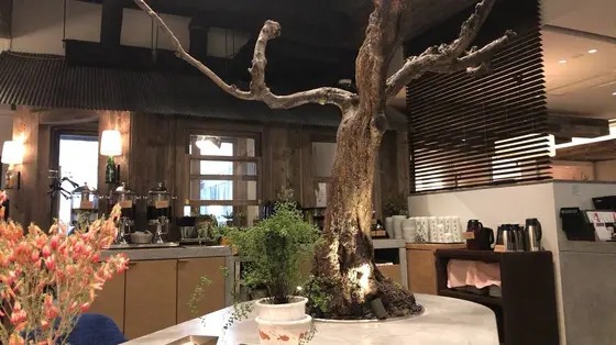 広い！