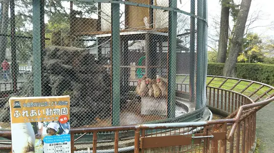 動物園も併設