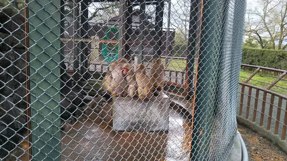 現在は
