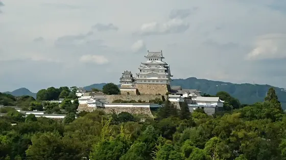 5階屋上庭園