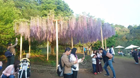 2019/5/4