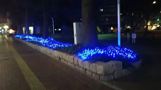 イルミネーション