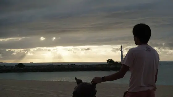 夕焼け
