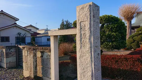 場所は