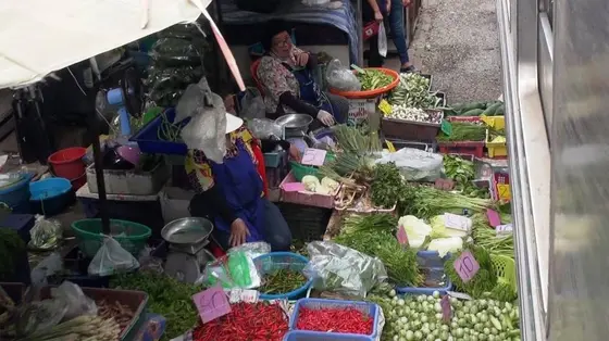 野菜を踏む列車