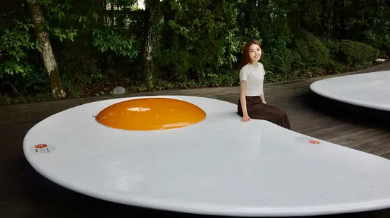 これは…目玉焼き？