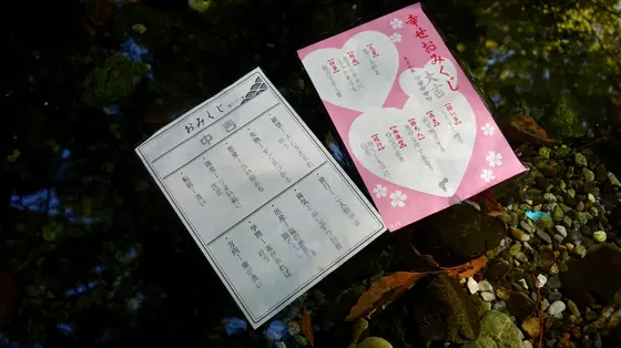 境内にある小川におみくじを浸すと...