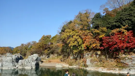 紅葉の時期に訪れたので・・・