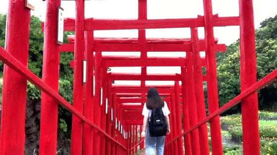 何本もの鳥居に圧巻