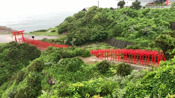 上から見るとこんな感じ