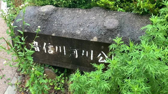 緑に囲まれた足湯