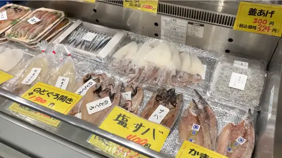こちらは生のお魚たち！