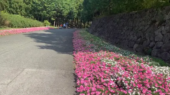 花の広場へ