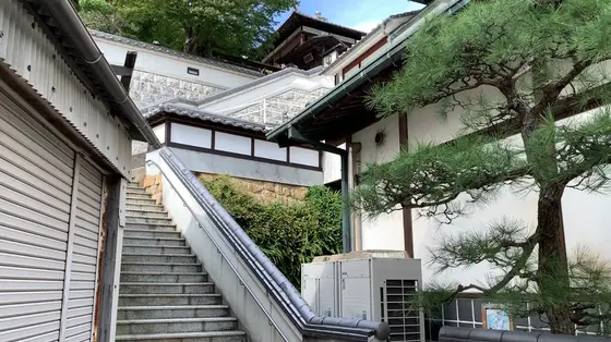 美術館の隣の階段