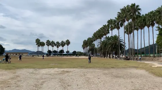 見渡した感じは見つけられません・・・