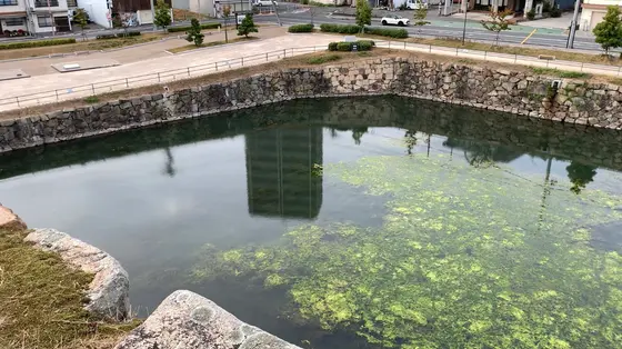 お堀