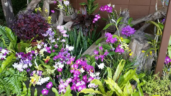 園内の植物