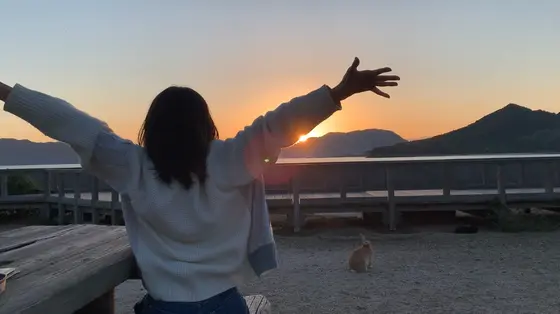 うさぎもいます