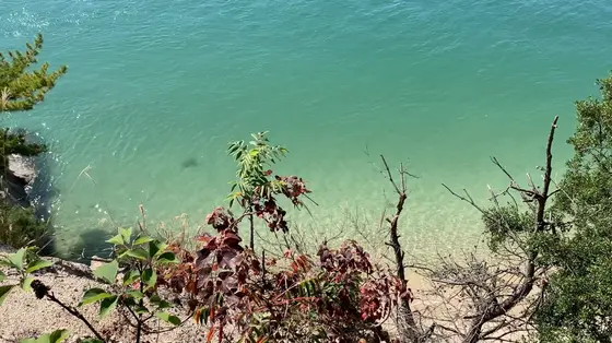 綺麗な海