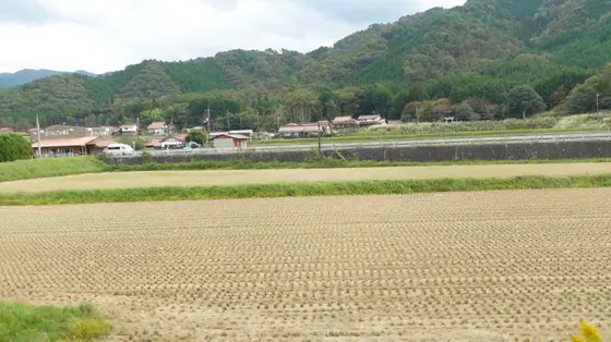 車窓からの景色2