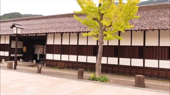 イチョウの木もいい味出してます