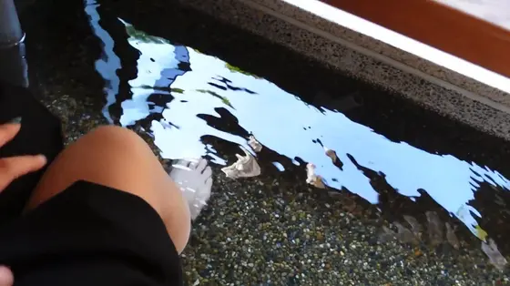 足湯が気持ちい〜リラックスタイム