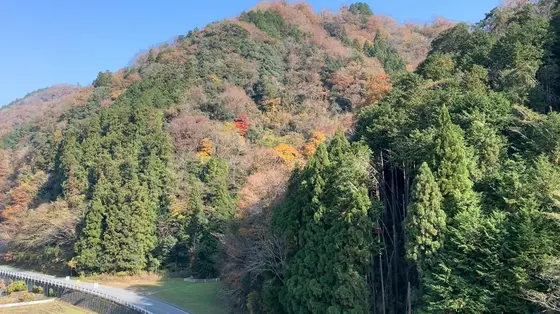 ちょうど紅葉の季節