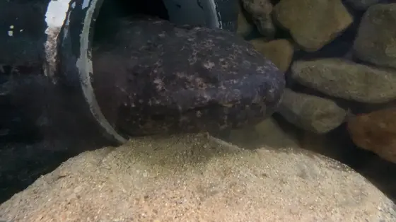 母のサチコ