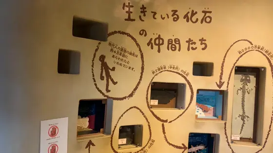 内観