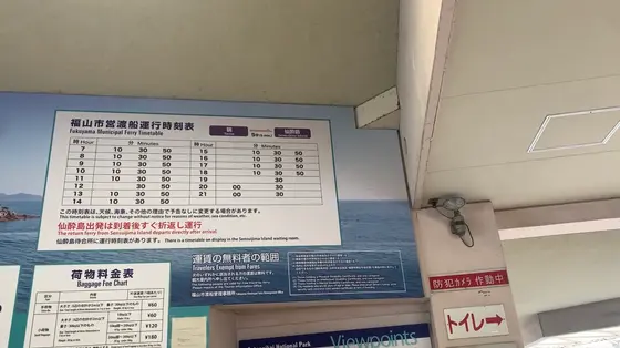 船は20分に1便出ている感じです！