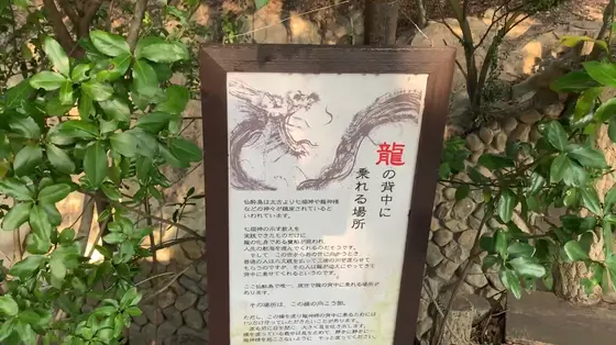 龍の背中に乗れる場所