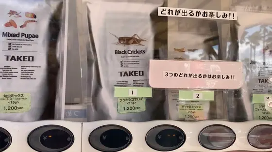 スポット内のおすすめ
