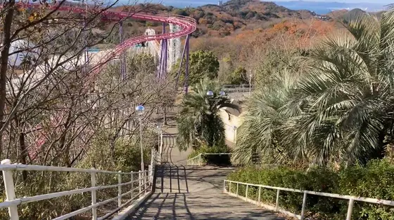 後ろを振り返ると今まで登ってきた頑張りの証