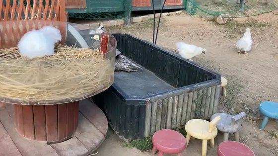 ふれあい動物園