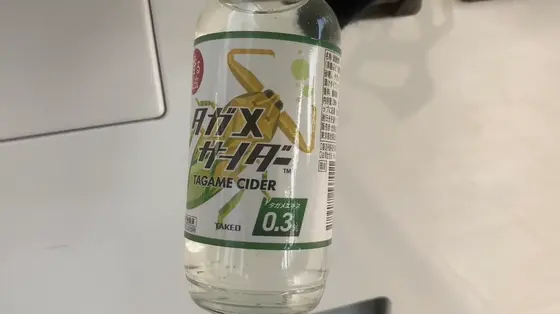 挑戦せずには帰れない‼️