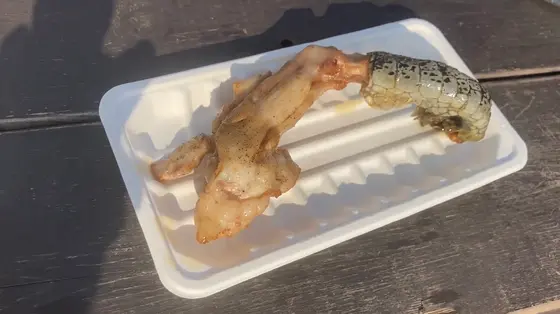 【クロコダイル·ハンド　ワニ肉手羽】800円