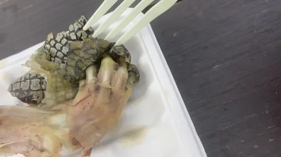 【グロ注意】