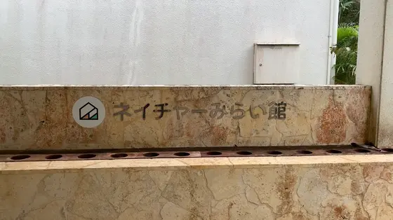 入口