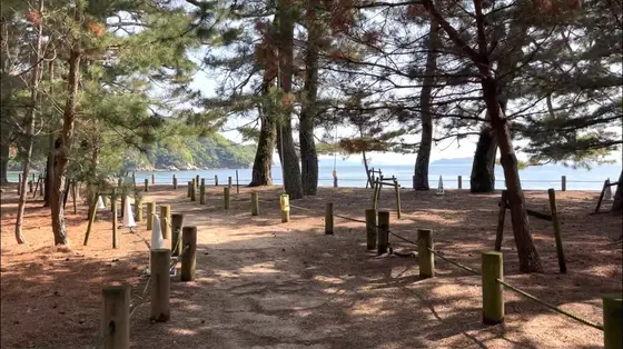 日陰の感じがいいですよね！