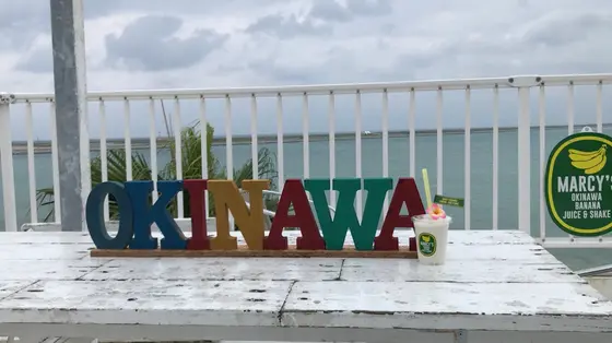 オーシャンビュー🌊🌺