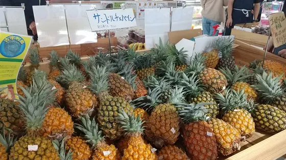スポット内のおすすめ