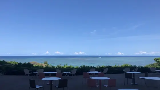カフェからの景色