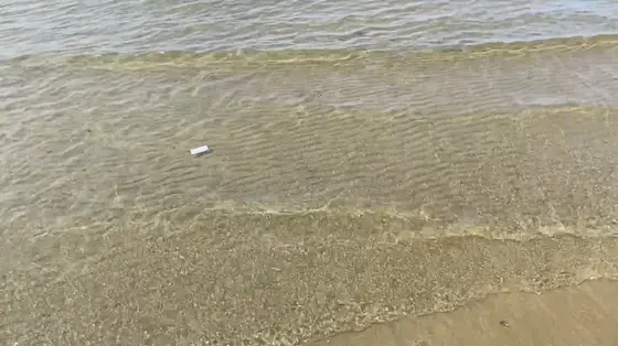 海水