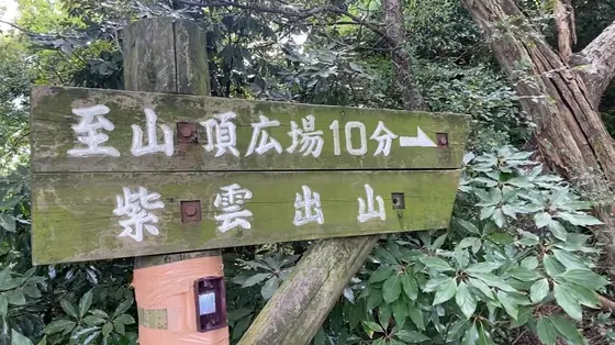 頑張って登るぞ！