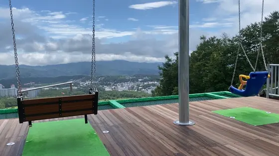 スカイスウィング